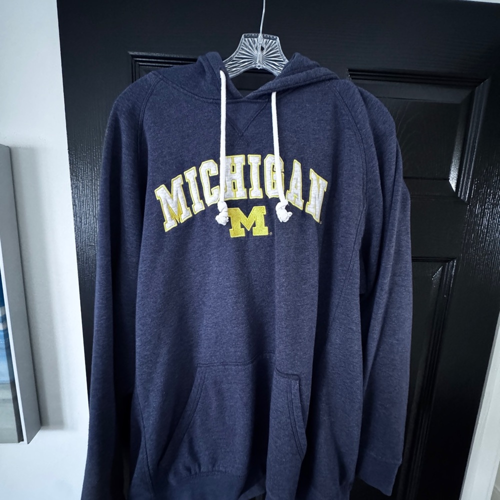 Champion Michigan Wolverines Blue Hoodie